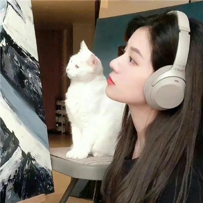 虎穴追踪